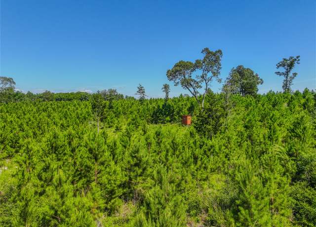 Property at TBD County Road 1450, Warren, TX 77664