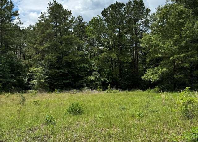 Property at 2511 County Road 4280, Woodville, TX 75979, 2 beds