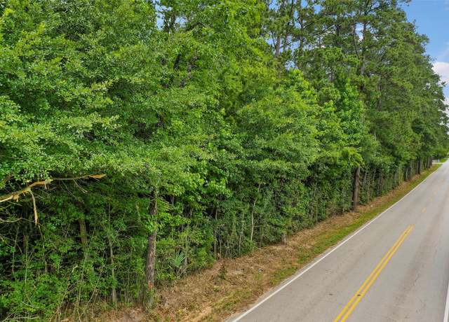 Property at 00 Honea Egypt Rd, Montgomery, TX 77316