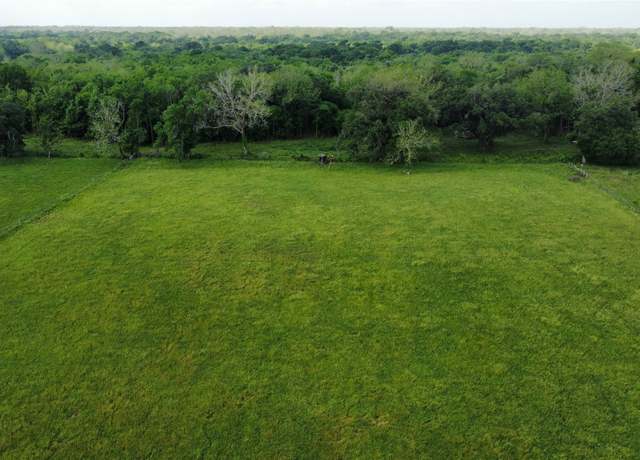 Property at 6707 Fm-1728, Pledger, TX 77420
