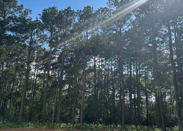 Property at 11309 Annie Creek Dr, Willis, TX 77378