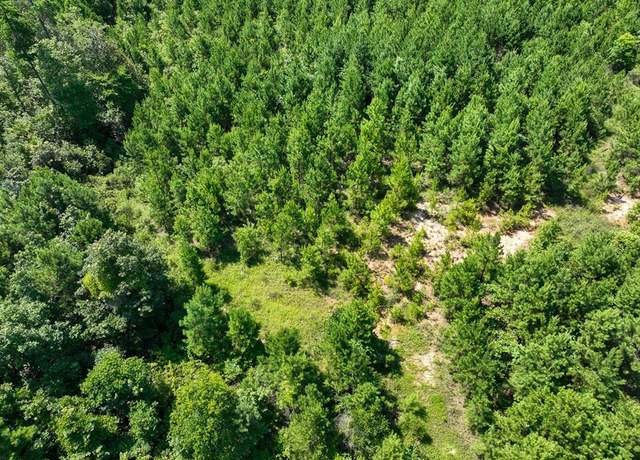 Property at 010 Carters Ferry Rd, Milam, TX 75959