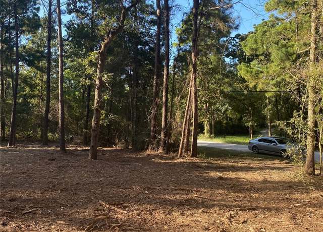 Property at 14628 Shadows End Dr, Plantersville, TX 77363