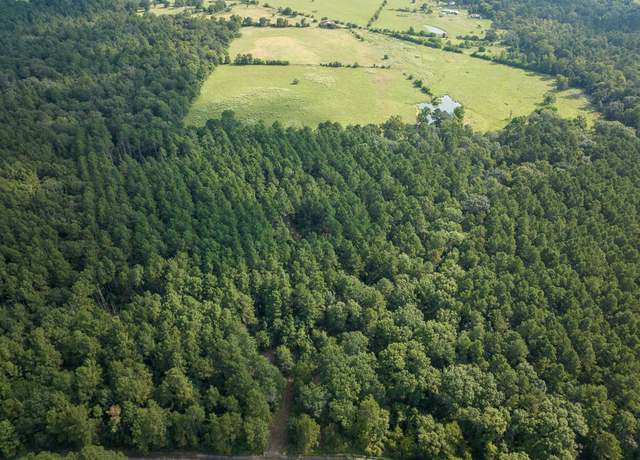 Property at 9B Joe Hudson Rd, Groveton, TX 75845
