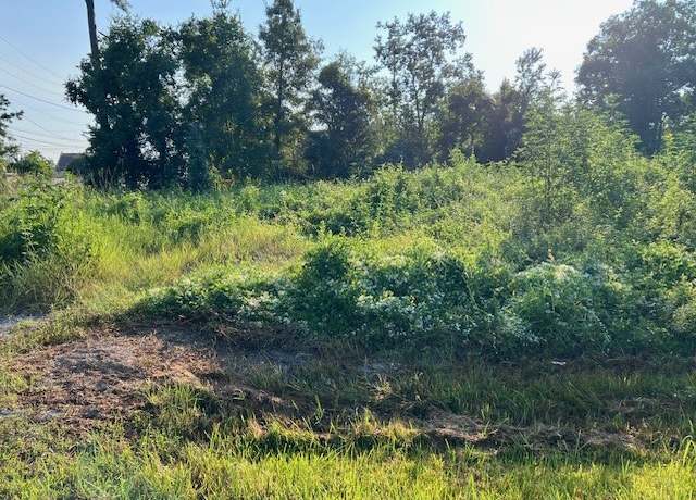 Property at 410 S Tannahill St, Vidor, TX 77662