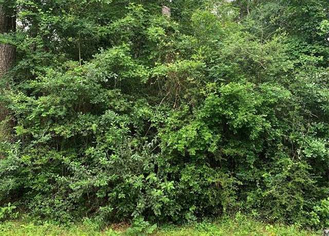 Property at TBD Birch St, Montgomery, TX 75040
