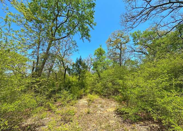 Property at 8 ac CR 1464, Centerville, TX 75833