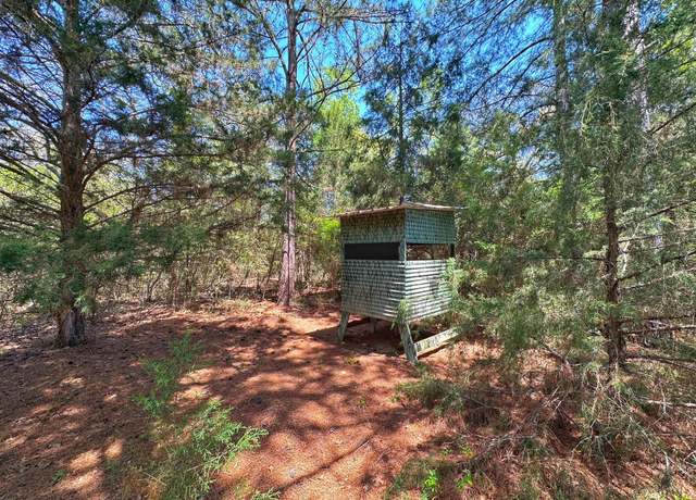 Property at 8 ac Cr 1464, Centerville, TX 75833