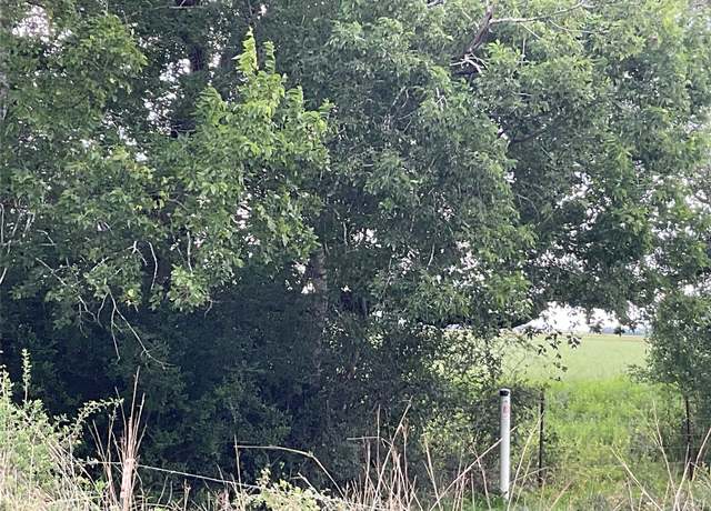 Property at TBD Cr 449/francitas Rd, Francitas, TX 77961