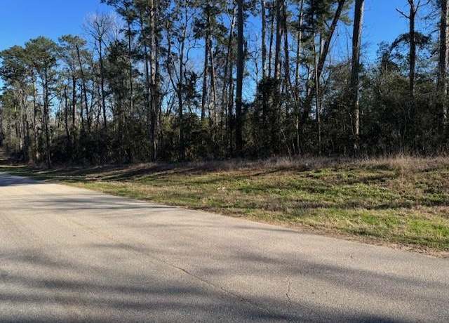 Property at 11165 W Lake Dr, Willis, TX 77378