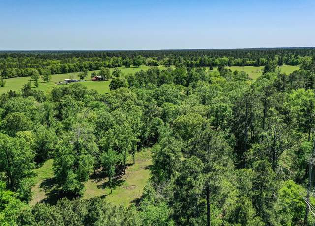 Property at 79.3 Acres Reese Rd, Pennington, TX 75856