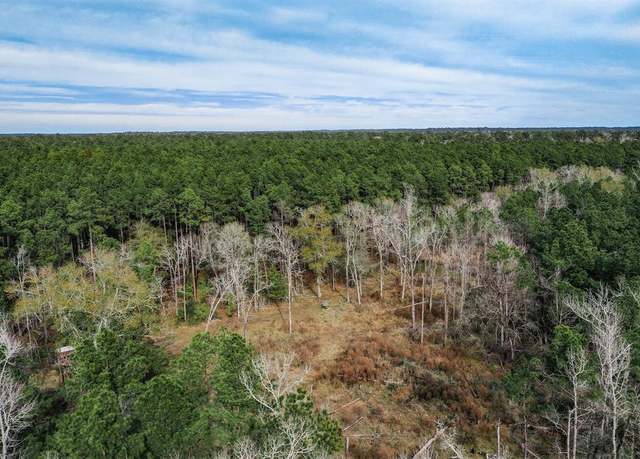 Property at 79.3 Acres Reese Rd, Pennington, TX 75856