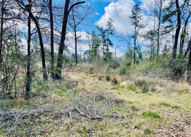 Property at 0 Old Highway 35 N, Livingston, TX 77351