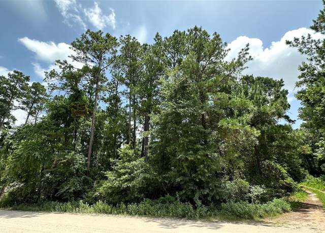 Property at Lot 4 Live Oak Dr, Plantersville, TX 77363