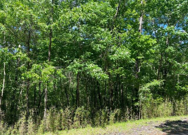 Property at 22 S Pine Harbour Dr, Coldspring, TX 77331
