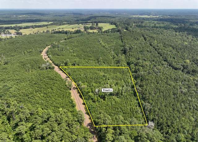 Property at 01 State Road 35, Geneva, TX 75959