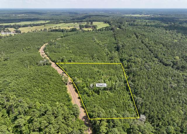 Property at 01 State Road 35, Geneva, TX 75959