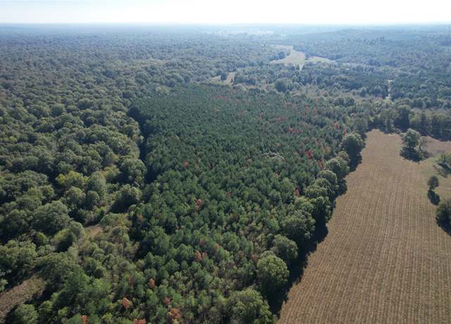 Property at 0 Fenley Flat Rd, Lufkin, TX 75901