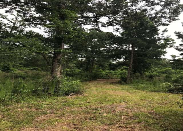 Property at 26150 Grand Pines Rd, Magnolia, TX 77355