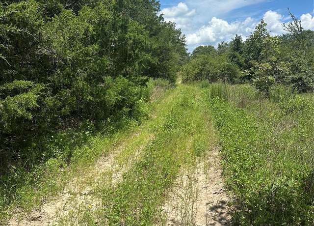Property at 0 Chestnut Dr, Caldwell, TX 77836