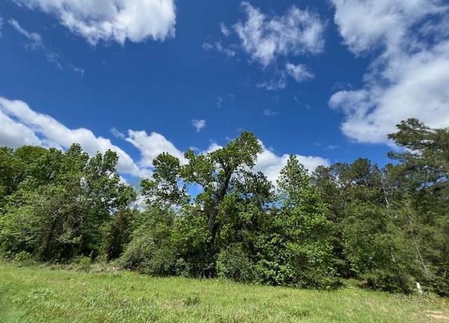 Property at TBD Us-59, Moscow, TX 75960