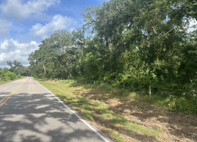 Property at 0 County Road 353, Brazoria, TX 77422