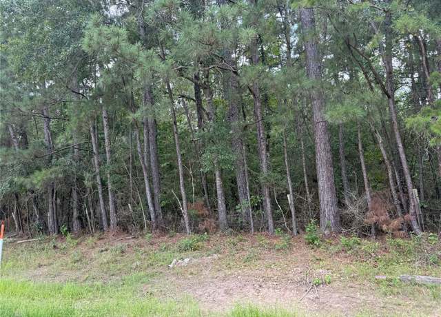 Property at TBD Fm-980 N, Point Blank, TX 77364