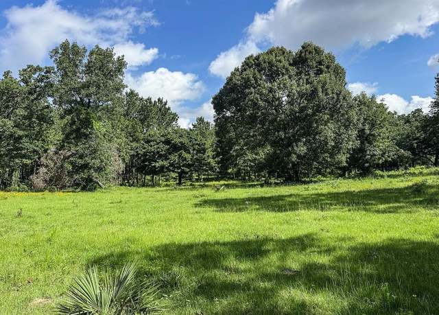 Property at 66.8 Acres FM 230, Trinity, TX 75862