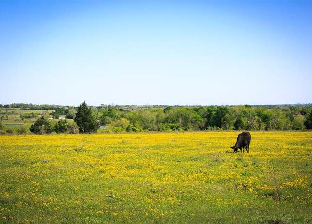 Property at 177 Acres Chadwick Hogan Rd, Chappell Hill, TX 77426