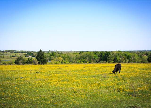 Property at 177 Acres Chadwick Hogan Rd, Chappell Hill, TX 77426