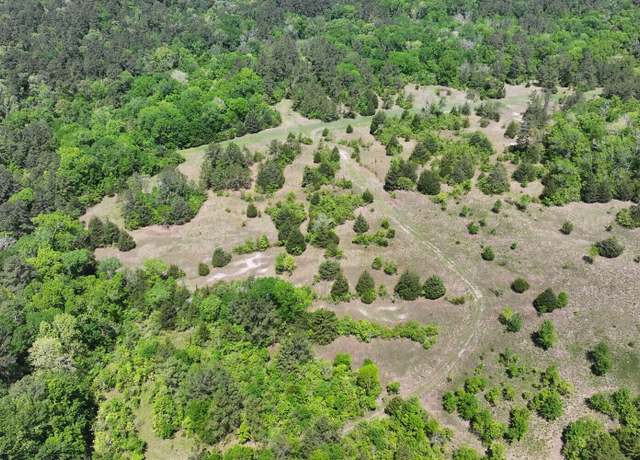 Property at TBD-3 Felix Currie Rd, Point Blank, TX 77364
