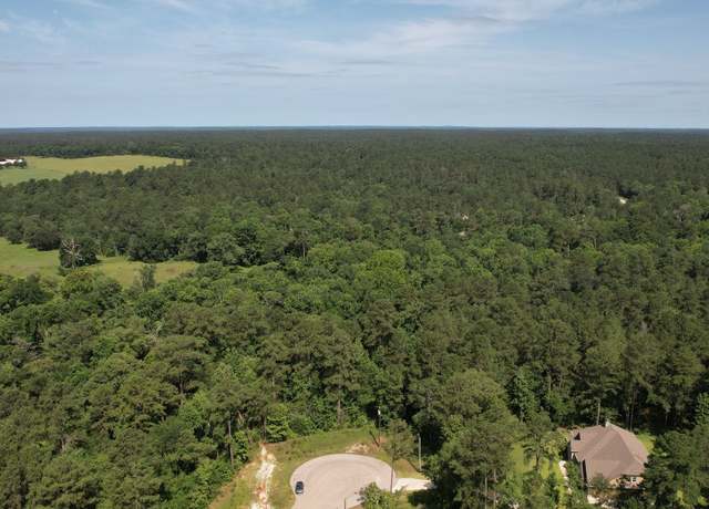 Property at 207 Sandpiper Dr, New Waverly, TX 77358