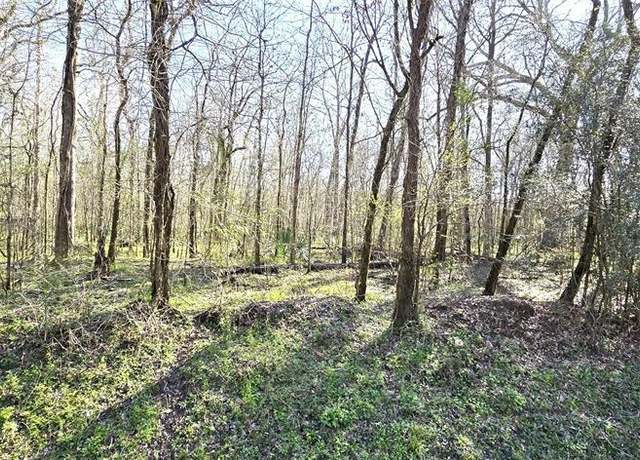 Property at TBD County Road 2500, Liberty, TX 77575