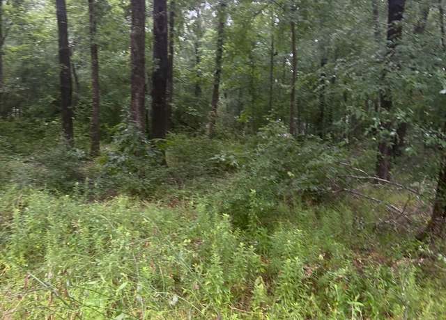 Property at TBD Moonbeam Dr, Livingston, TX 77351