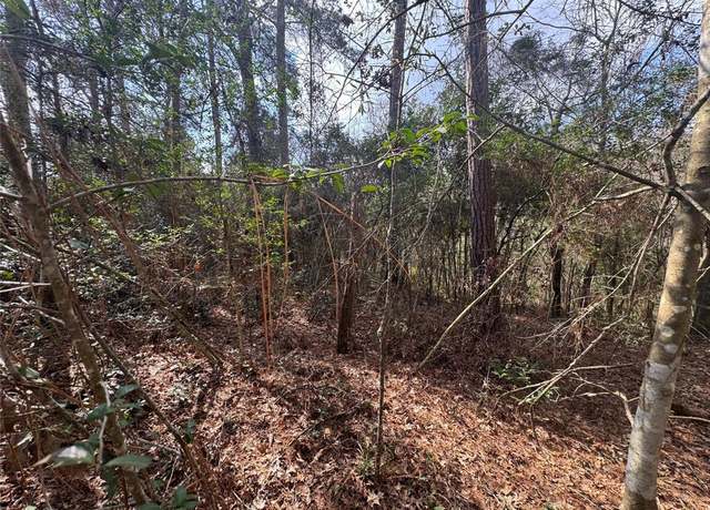 Property at Lot 217 Mallard Dr, Coldspring, TX 77331