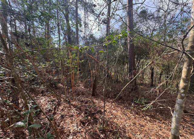 Property at Lot 217 Mallard Dr, Coldspring, TX 77331