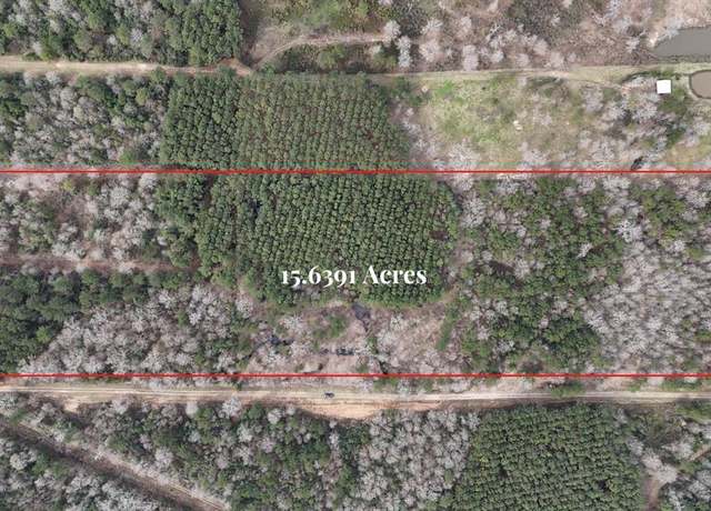 Property at 0 County Line Rd, Shepherd, TX 77371