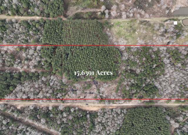 Property at 0 County Line Rd, Shepherd, TX 77371