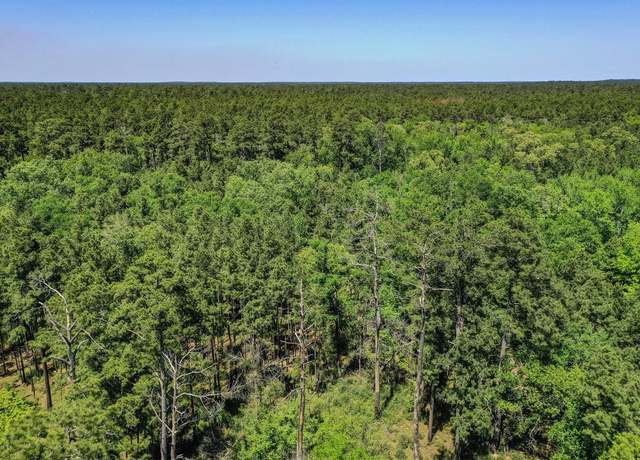 Property at NONE Cr 4200, Pennington, TX 75856