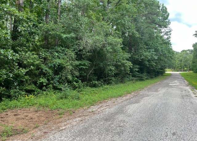 Property at LOT 166 Bonnie Creek Dr, Coldspring, TX 77331