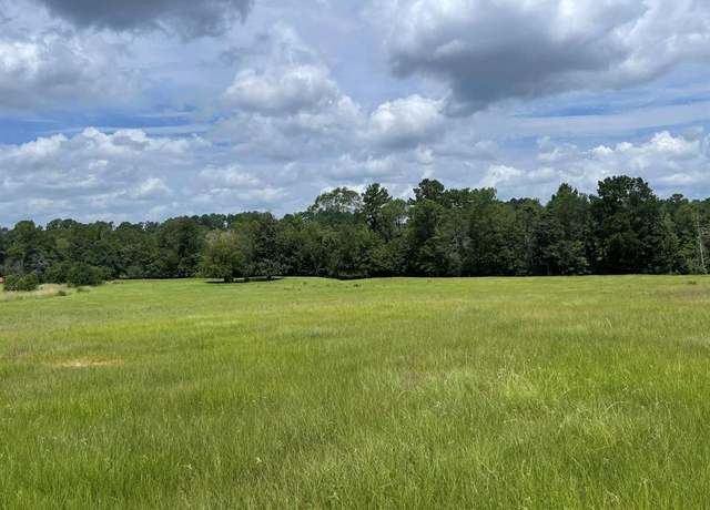 Property at TBD Lakeland Ranch Lot 267, Hillister, TX 77624