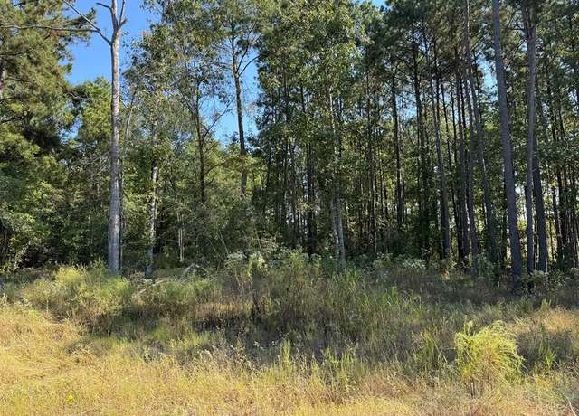 Property at 125 Yaupon Ct, Lufkin, TX 75904