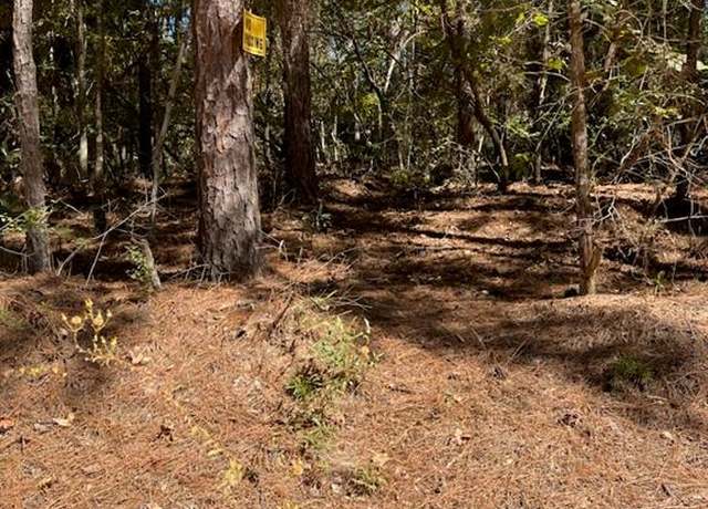 Property at 0 Monroe Dr, Livingston, TX 77351