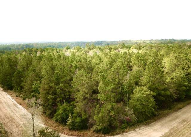 Property at TBD County Road 2310, Woodville, TX 75979