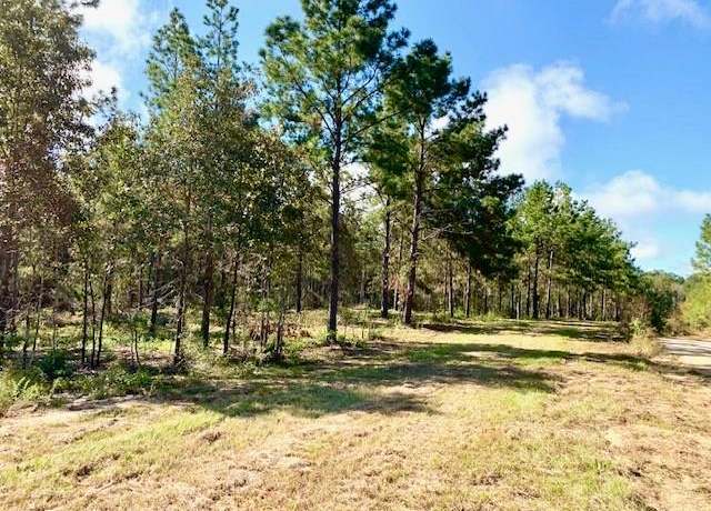 Property at TBD 38.3+/- AC CR 2310, Woodville, TX 75979