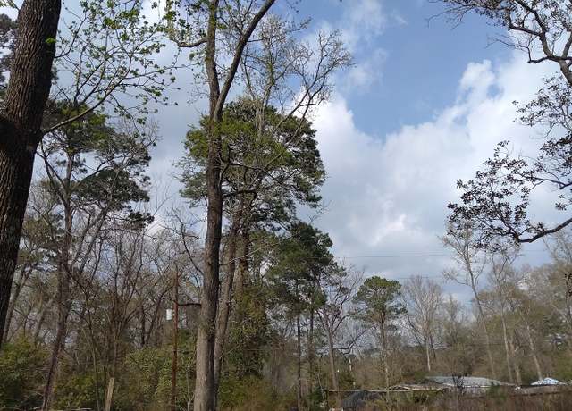 Property at 99 Cherry Laurel St, Huffman, TX 77336