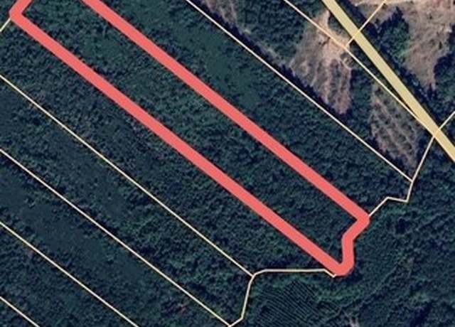 Property at 17796 Tx-87, San Augustine, TX 75972