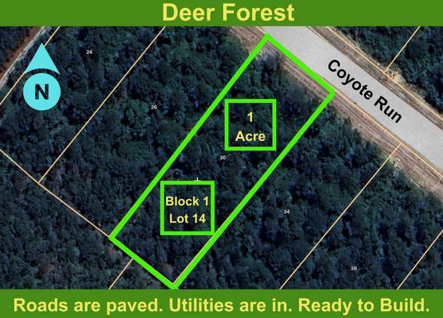 Property at 30 Coyote Run, Willis, TX 77378