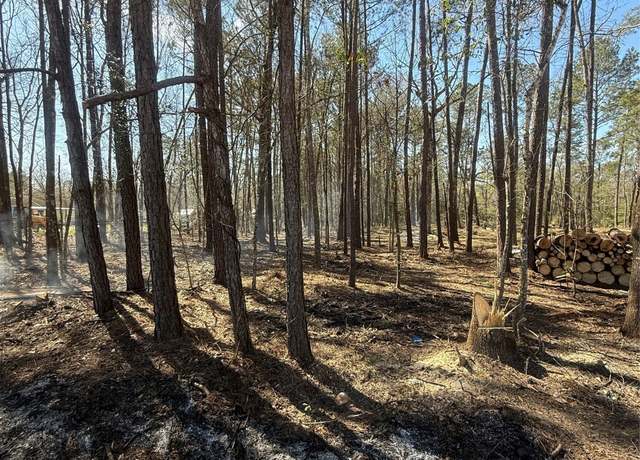 Property at 251 Seth Blvd, Cleveland, TX 77328