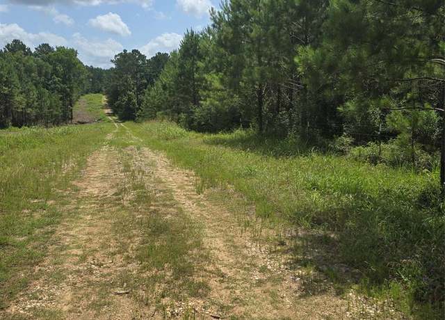 Property at TBD Hammond Rd, Livingston, TX 77351